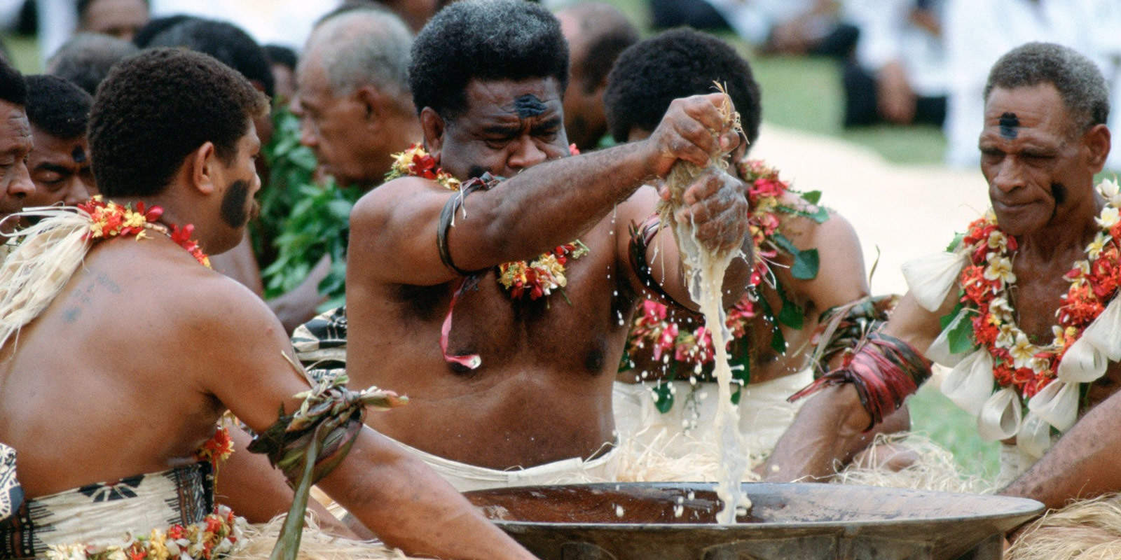 All About Kava Kava